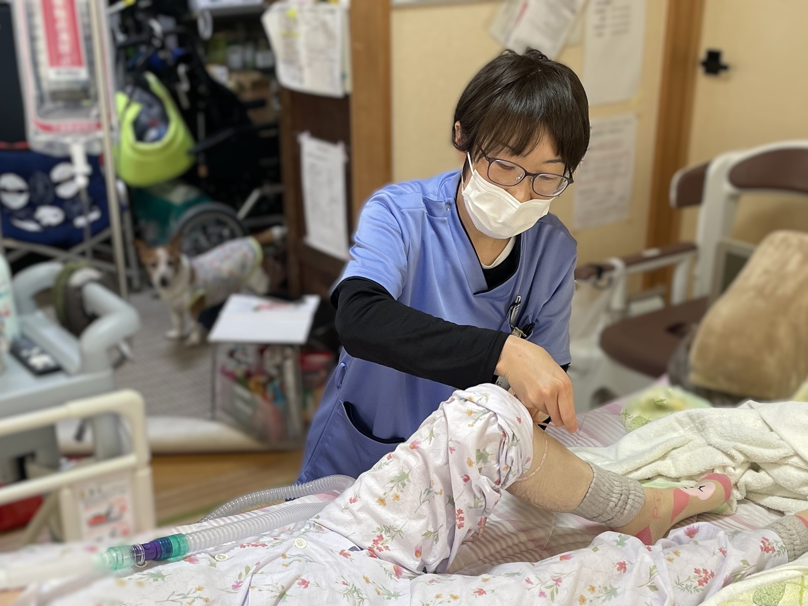訪問栄養指導の様子